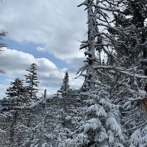 Meet your Posher, Forrest